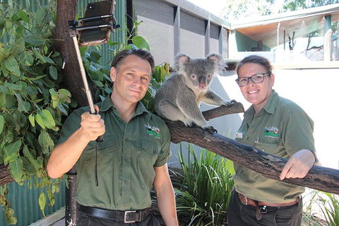 Virtual Interactive Australian Wildlife Tour With Private Guide-Wildlife Habitat - Foster Accommodation 0