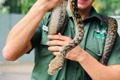 Virtual Interactive Australian Wildlife Tour With Private Guide-Wildlife Habitat - Foster Accommodation 1