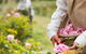 3 Days Adelaide Hills Wellness Escape - thumb 3