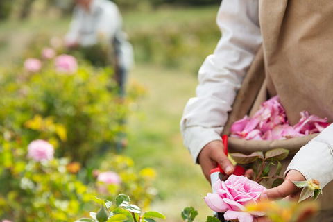 3 Days Adelaide Hills Wellness Escape - Foster Accommodation 3