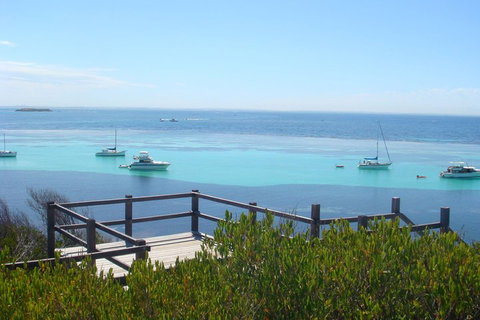 Rottnest Bayseeker Bus Tour From Hillarys Boat Harbour - Foster Accommodation 3