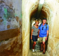 Rottnest Island Historical Train and Tunnel Tour from Hillarys Boat Harbour - Foster Accommodation
