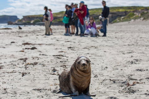 Kangaroo Island In A Day Tour From Adelaide - Foster Accommodation 0