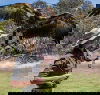 One Day Kangaroo Island Sip  See tour with return ferry transfers from Adelaide - Foster Accommodation