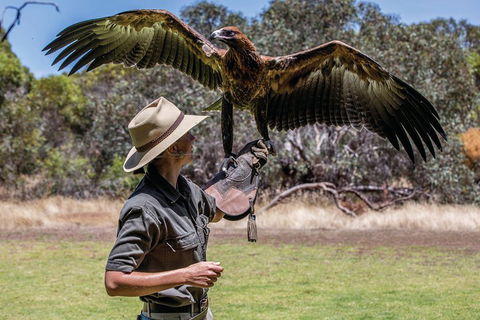 One Day Kangaroo Island Sip & See Tour With Return Ferry Transfers From Adelaide - Foster Accommodation 0