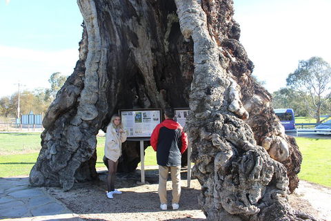Barossa And Hahndorf Day Trip From Adelaide Including Wine Tasting And Lunch - Foster Accommodation 1