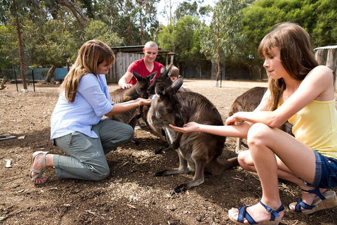 Full-Day Kangaroo Island Experience Departing From Kangaroo Island - Foster Accommodation 5