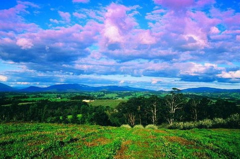 CHEVY CONVERTIBLE Package For 4 -Wine Lunch Cheese & Chocolate From Yarra Valley - Foster Accommodation 4