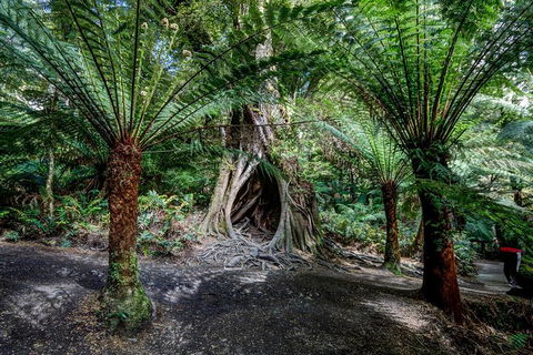 Adelaide To Melbourne 3-Day Trip Through Grampians And Great Ocean Road - Foster Accommodation 0