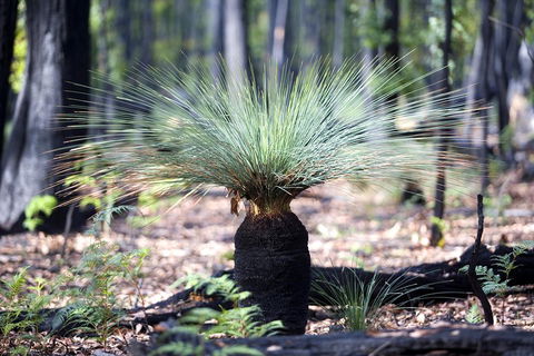 Adelaide To Melbourne 3-Day Trip Through Grampians And Great Ocean Road - Foster Accommodation 4