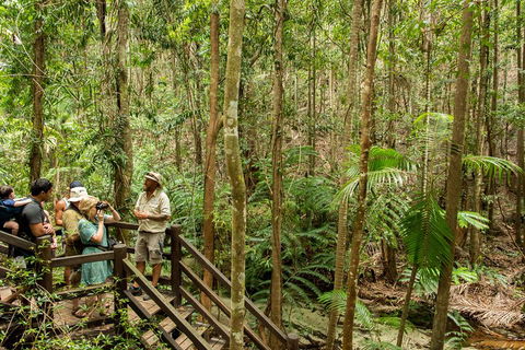 Fraser Explorer K'gari 2-Day Tour - Foster Accommodation 5