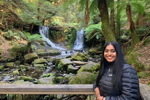 Day Tour In Mt. Field, Mt. Wellington, Bonorong Wildlife Sanctuary And Richmond - Foster Accommodation 5