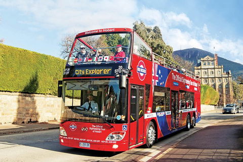 Hobart Hop-On Hop-Off Bus & Kunanyi/Mt Wellington Tour - Foster Accommodation 4