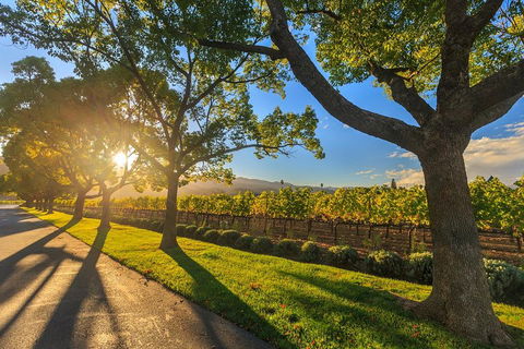 Very Best Of Perth Tour - Wildlife Park & City Highlights Tour - Foster Accommodation 2