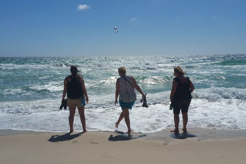 Very Best Of Perth Tour - Wildlife Park & City Highlights Tour - Foster Accommodation 5