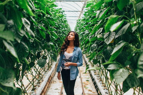 Yarra Valley Local Produce And Wine Tasting Tour - Foster Accommodation 0