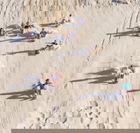 Unlimited Sandboarding - Foster Accommodation