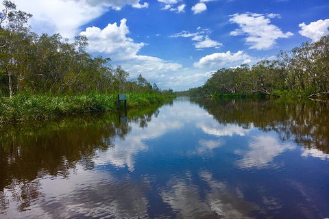 Noosa Everglades Serenity Cruise & Highlights Tour Inc. Lunch & Cruise - Foster Accommodation 0