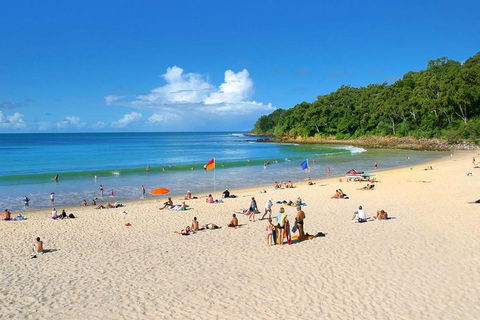 Noosa Everglades Serenity Cruise & Highlights Tour Inc. Lunch & Cruise - Foster Accommodation 4
