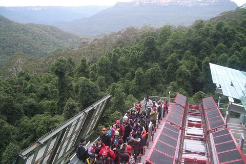 Blue Mountains Private Tour With Wildlife Park And River Cruise - Foster Accommodation 1