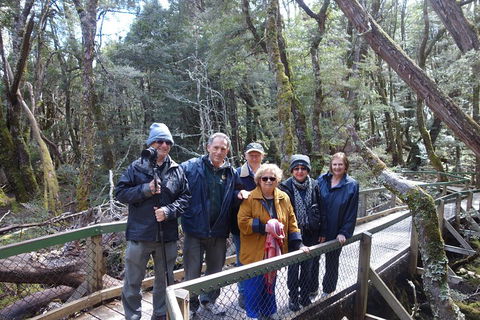 Blue Mountains Private Tour With Wildlife Park And River Cruise - Foster Accommodation 2