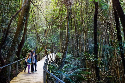 Blue Mountains Private Tour With Wildlife Park And River Cruise - Foster Accommodation 4