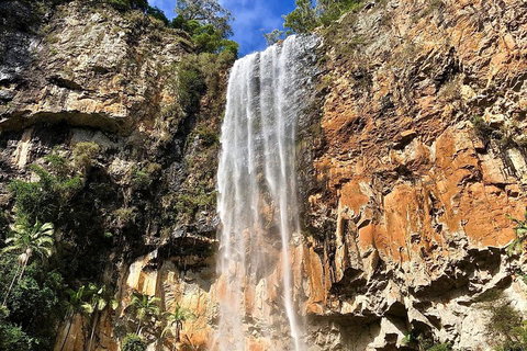 Springbrook Full Day Tour - Foster Accommodation 2