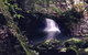 Springbrook Full Day Tour - thumb 3