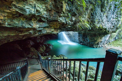 Springbrook Full Day Tour - Foster Accommodation 4