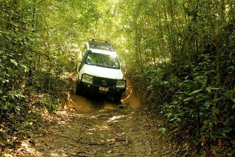 Barron Gorge And Kuranda National Park Half Day Rainforest And Waterfall 4WD Tour From Cairns - Foster Accommodation 2