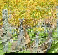 Margaret River Indulge and Discover Day Tour - Foster Accommodation