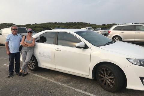Full-Day Private Australian Wildlife Tour Of Phillip Island - Foster Accommodation 1