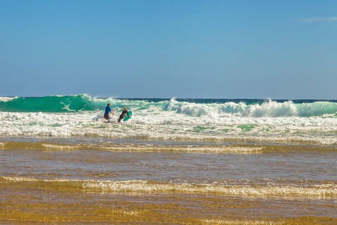 Full-Day Private Australian Wildlife Tour Of Phillip Island - Foster Accommodation 3
