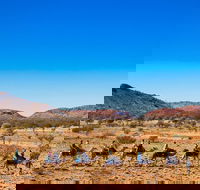 Alice Springs Camel Tour - Foster Accommodation