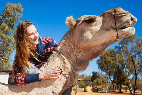 Alice Springs Camel Tour - Foster Accommodation 2