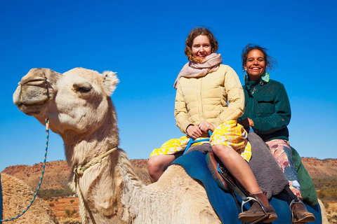 Alice Springs Camel Tour - Foster Accommodation 3
