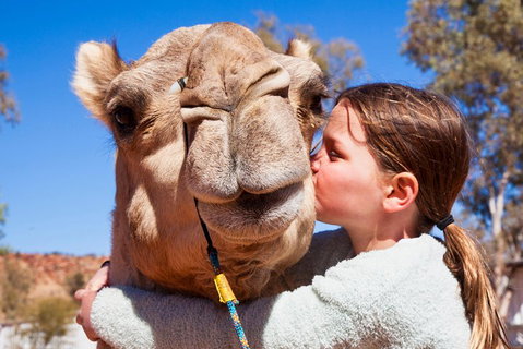Alice Springs Camel Tour - Foster Accommodation 5