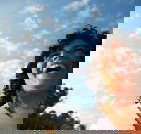 Hinterland Magic  Glow-worm Experience - Foster Accommodation