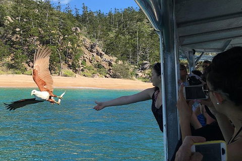 Aquascene Magnetic Island Discovery Tour - Foster Accommodation 2