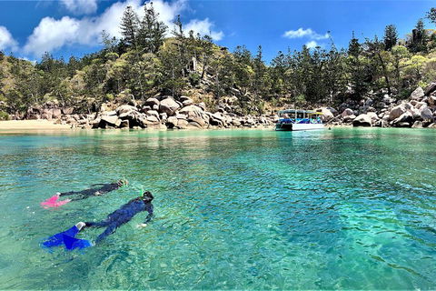 Aquascene Magnetic Island Discovery Tour - Foster Accommodation 4