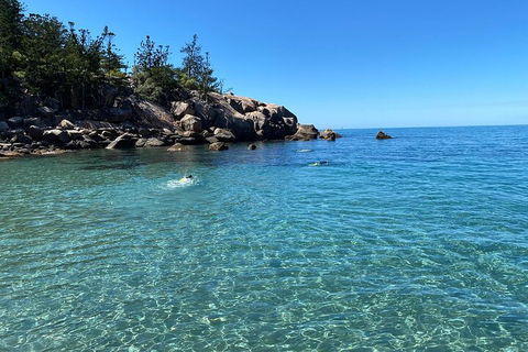 Aquascene Magnetic Island Discovery Tour - Foster Accommodation 5