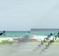 Private Beginners Surf Lessons Noosa World Surf Reserve - Foster Accommodation