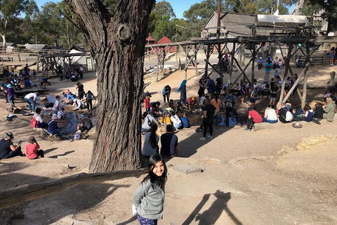 Ballarat Gold Fields Tour - Foster Accommodation 1