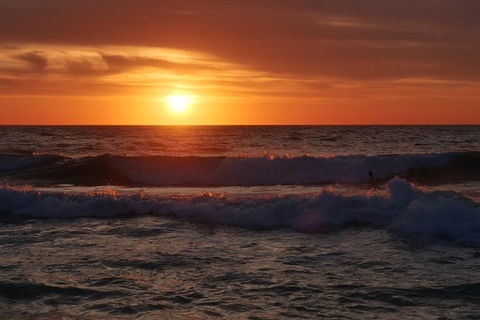 Australian Animals, Seascape And Sunset Photography Tour - Foster Accommodation 5