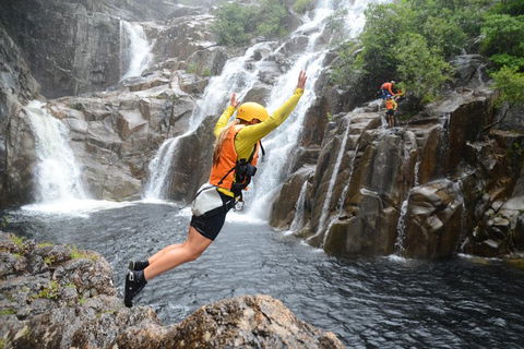 Behana Canyon Rainforest And Waterfall Experience - Foster Accommodation 3