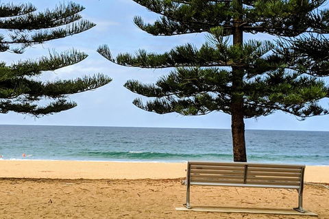Manly & Sydney's Northern Beaches With 'Personalised Sydney Tours' - Foster Accommodation 0