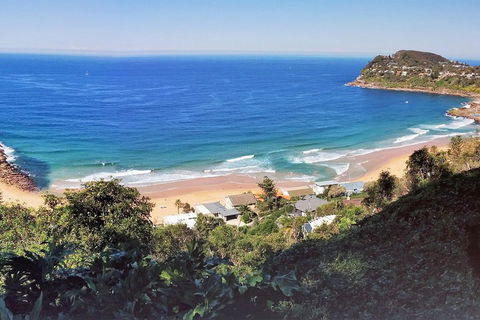Manly & Sydney's Northern Beaches With 'Personalised Sydney Tours' - Foster Accommodation 2
