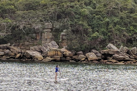 Manly & Sydney's Northern Beaches With 'Personalised Sydney Tours' - Foster Accommodation 3