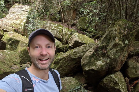 Australian Wildlife & Waterfalls Private Tour With 'Personalised Sydney Tours' - Foster Accommodation 4