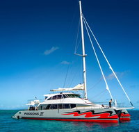 Passions of Paradise Great Barrier Reef Snorkel and Dive Cruise from Cairns by Luxury Catamaran - Foster Accommodation